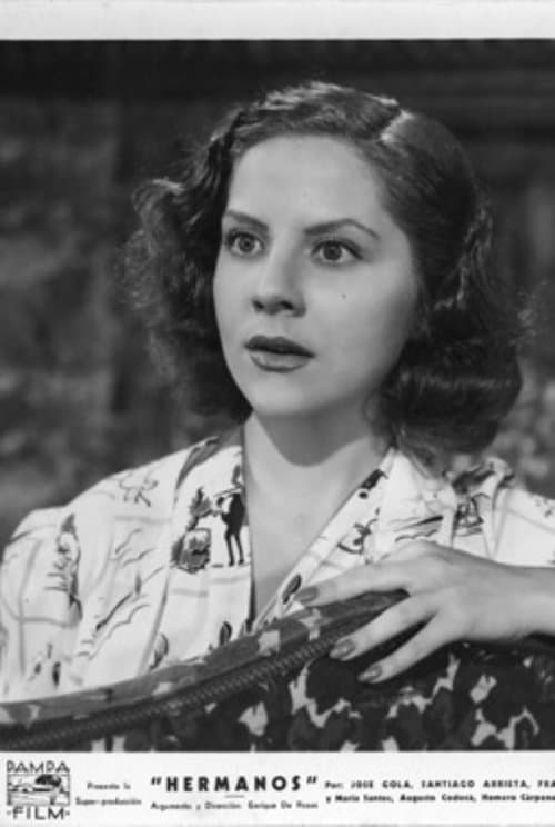 Hermanosのポスター