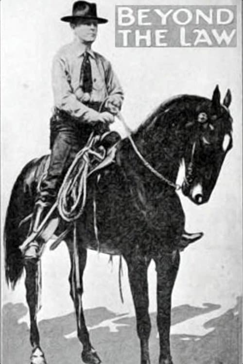 Beyond the Lawのポスター