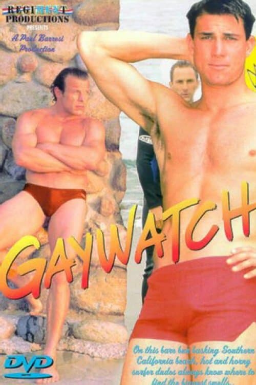 Gaywatchのポスター