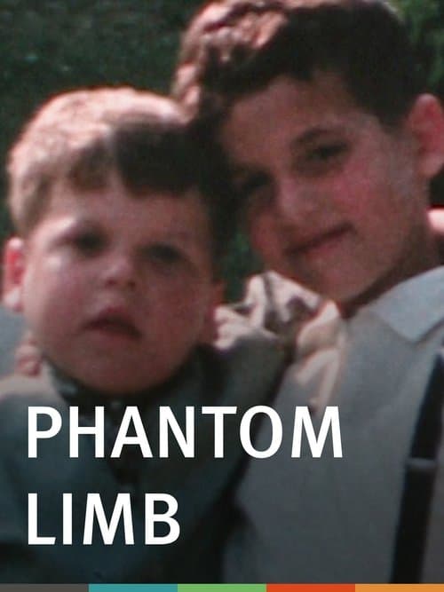 Phantom Limbのポスター