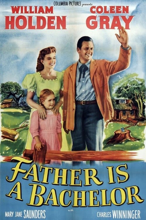 Father Is a Bachelorのポスター