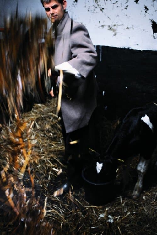 Meechfeverのポスター