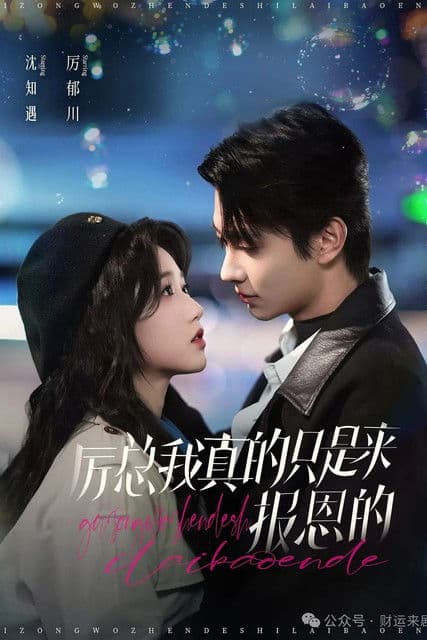 厉总我真的只是来报恩的のポスター