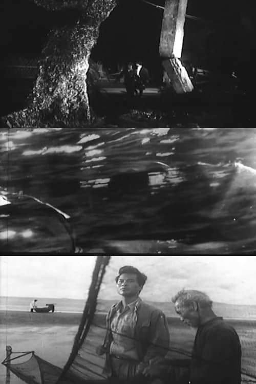 Những Ngôi Sao Biểnのポスター