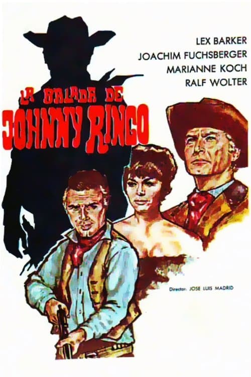 Wer kennt Johnny R.のポスター