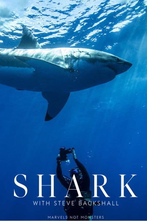 Shark with Steve Backshallのポスター