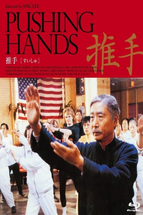 推手のポスター