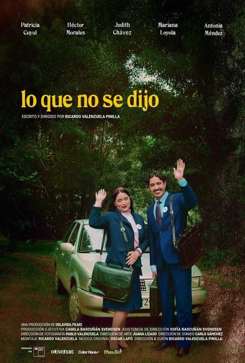 Lo que no se dijoのポスター