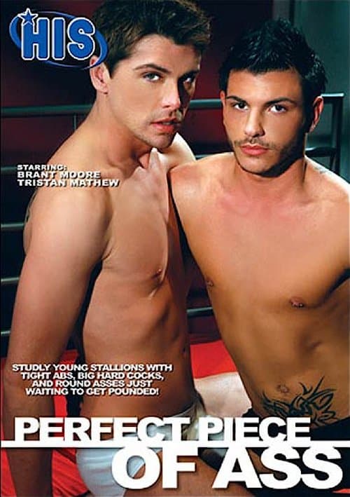 Perfect Piece of Assのポスター