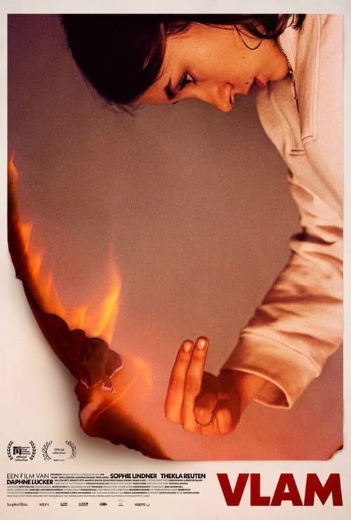 Vlamのポスター