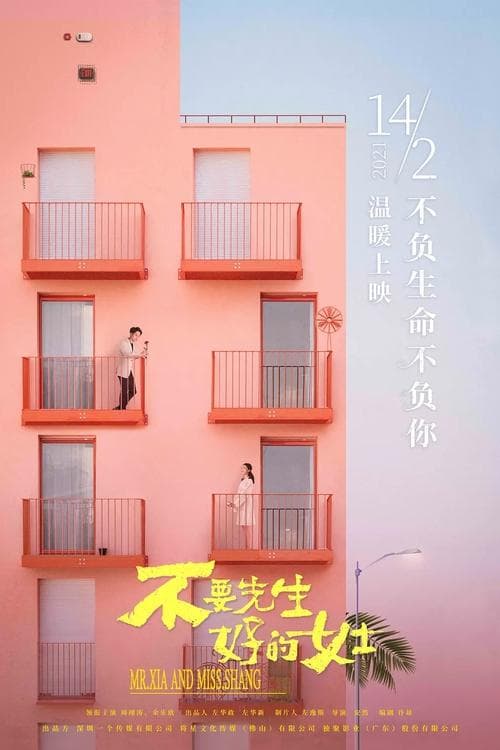 不要先生与好的女士のポスター