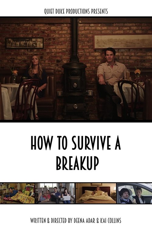 How to Survive a Breakupのポスター