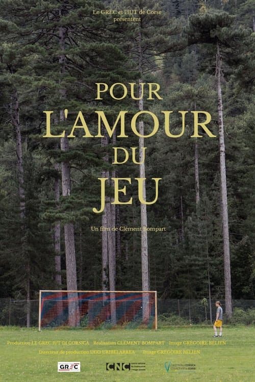 Pour l'amour du jeuのポスター