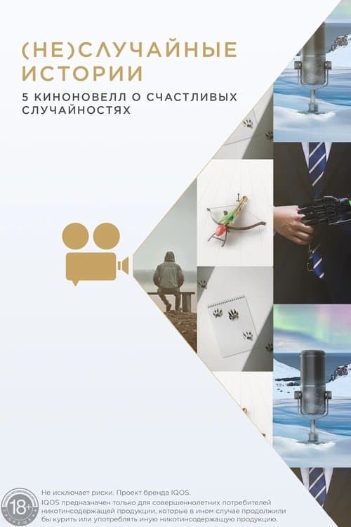 (Не)случайные историиのポスター