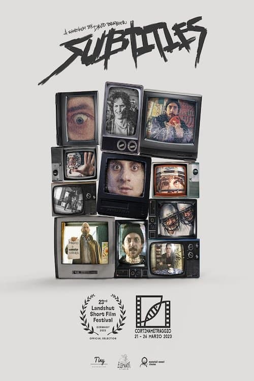 Subtitlesのポスター