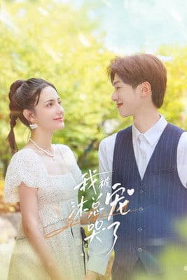 我被沐总宠哭了のポスター