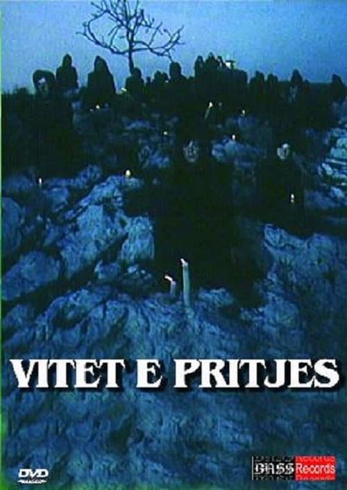 Vitet e pritjesのポスター
