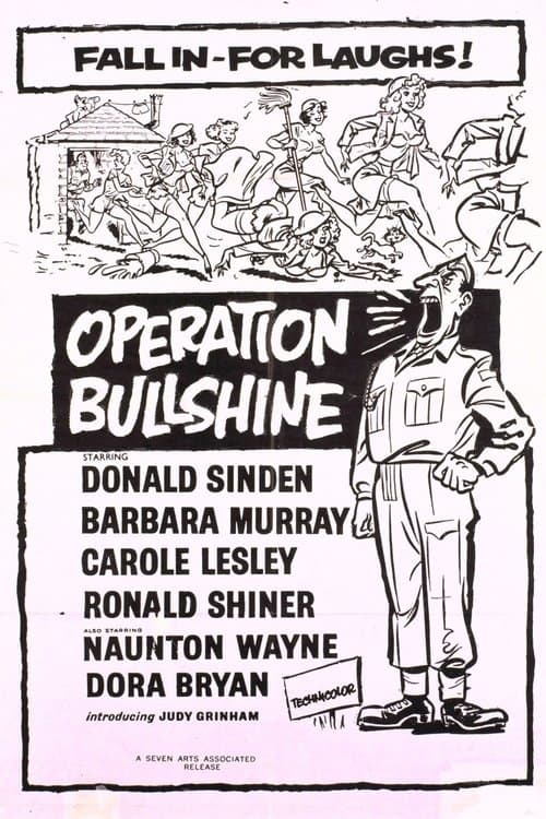 Operation Bullshineのポスター