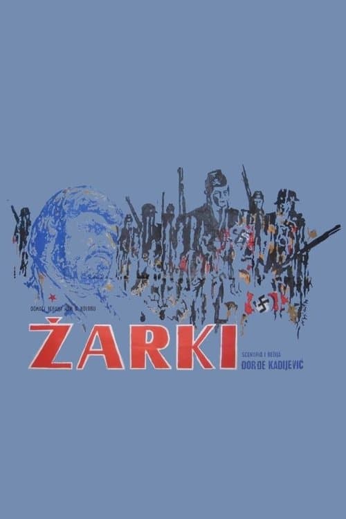 Žarkiのポスター