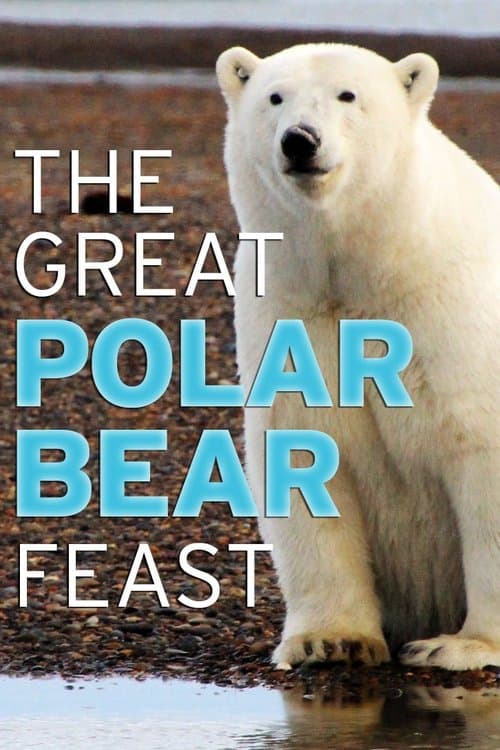 The Great Polar Bear Feastのポスター
