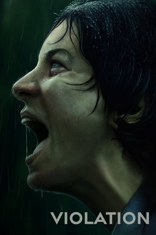 Violationのポスター