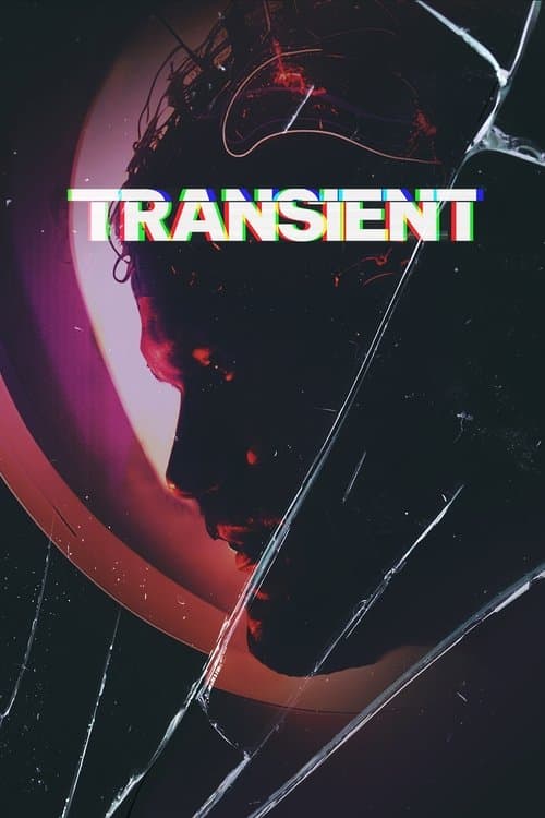 Transientのポスター