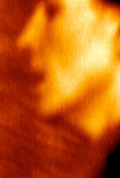 Novembreのポスター