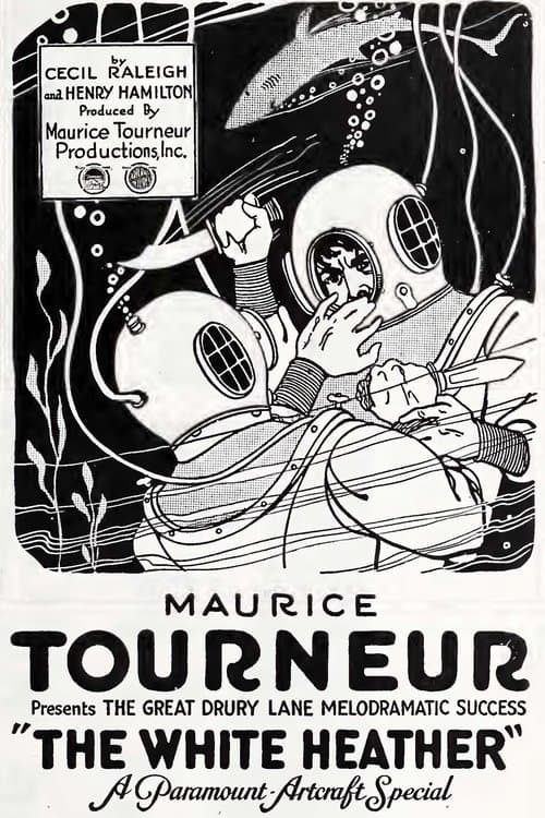 The White Heatherのポスター