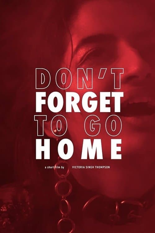 Don't Forget to Go Homeのポスター