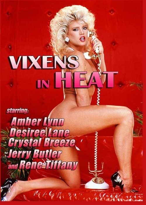 Vixens in Heatのポスター