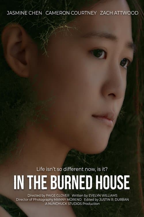 In the Burned Houseのポスター