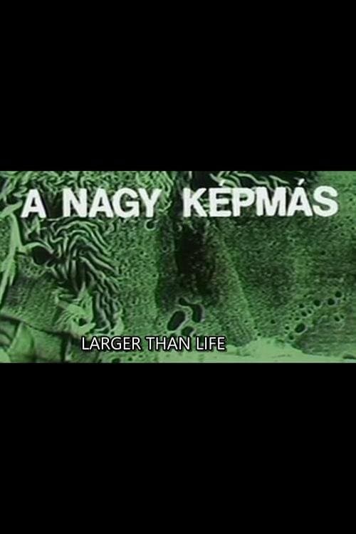 A nagy képmásのポスター