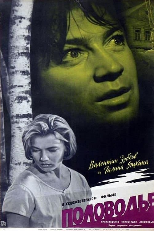 Половодьеのポスター