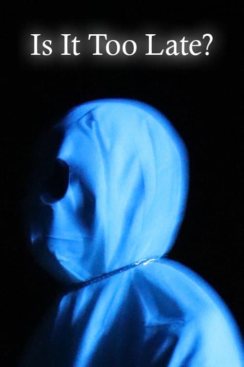 Is It Too Late?のポスター