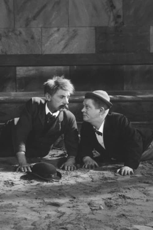 Kraft og skønhedのポスター