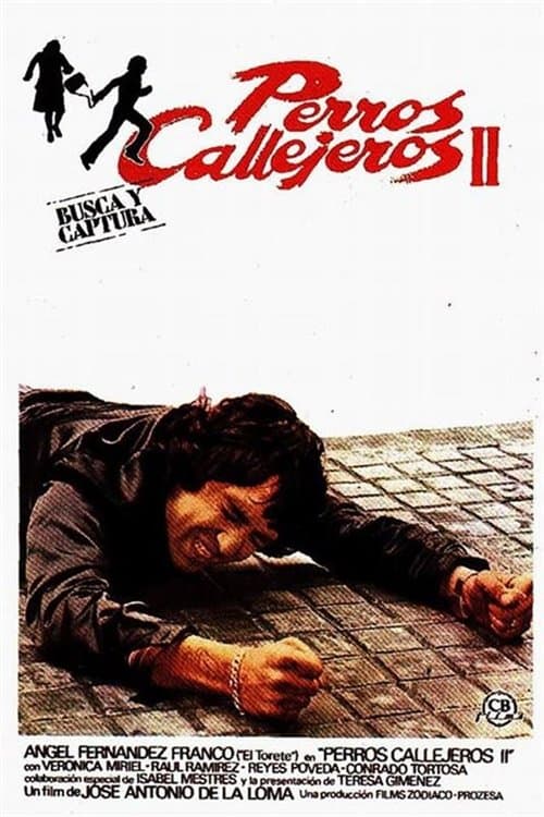 Perros callejeros IIのポスター
