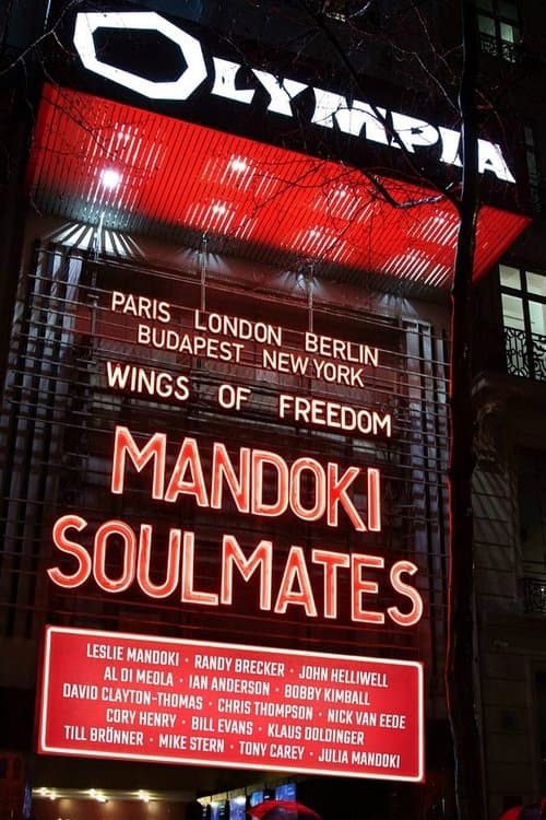 ManDoki Soulmates: Wings Of Freedomのポスター
