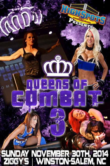 Queens Of Combat QOC 3のポスター