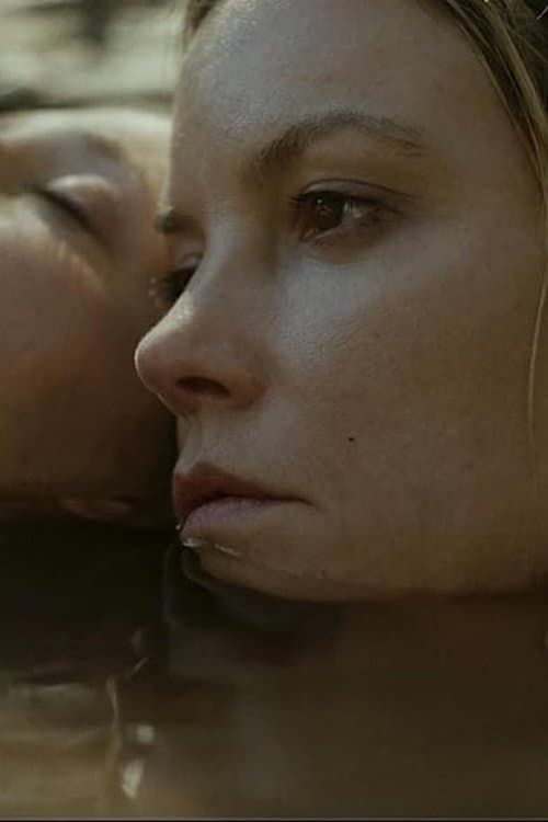 Magpie: One for Sorrow, Two for Joyのポスター