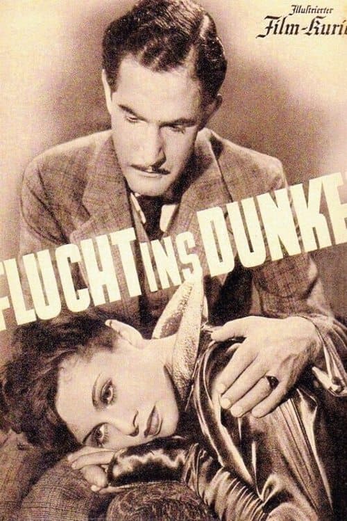 Flucht ins Dunkelのポスター