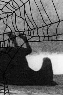 A Woman in Trouble Is a Temporary Thingのポスター