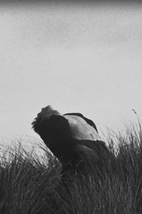 Andersのポスター