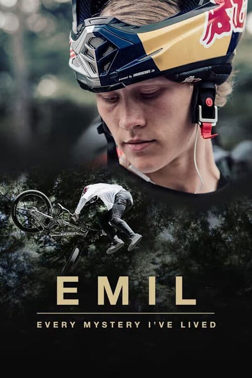 EMIL – Every Mystery I’ve Livedのポスター