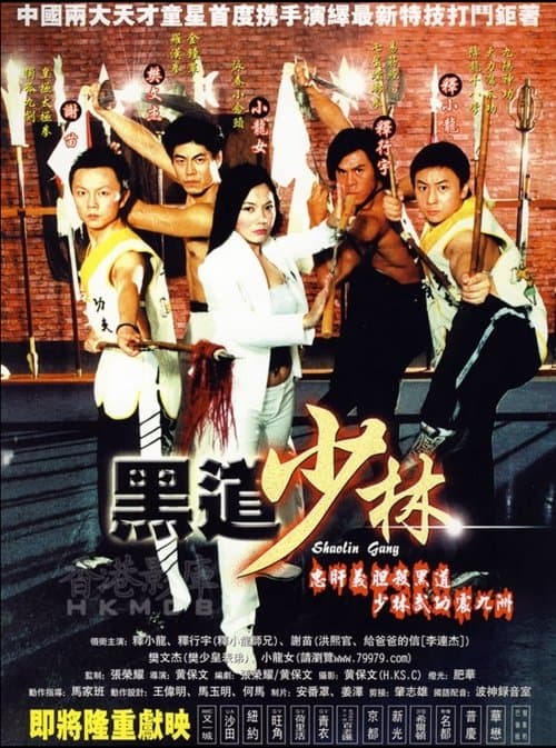 黑道少林のポスター