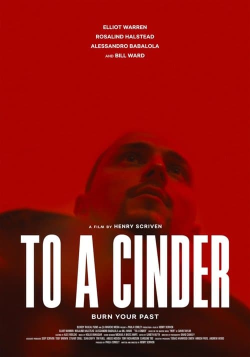 To A Cinderのポスター