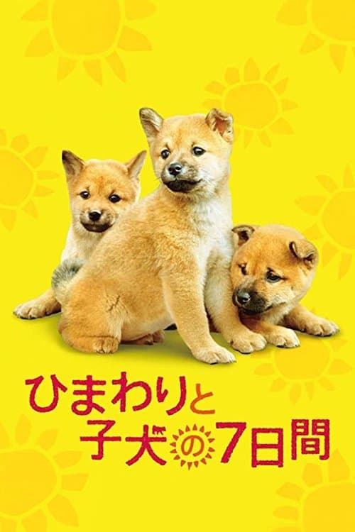 ひまわりと子犬の7日間のポスター