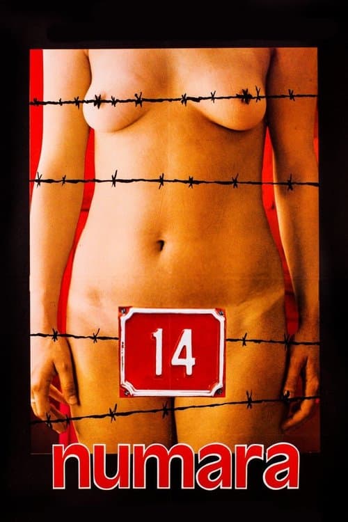 14 numaraのポスター
