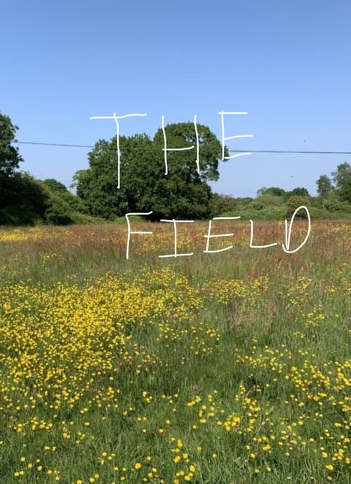 The Fieldのポスター