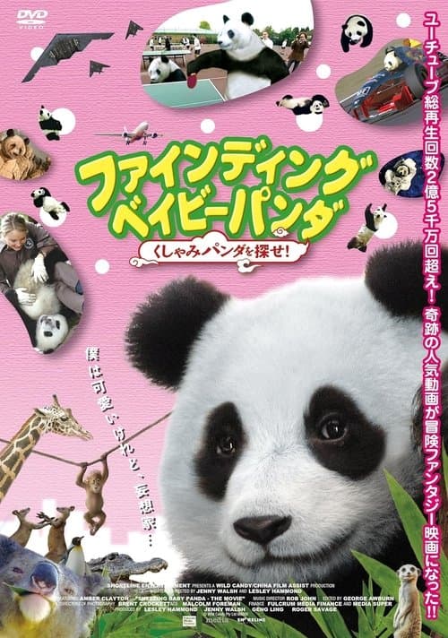 ファインディング ベイビー パンダ くしゃみパンダを探せ!のポスター