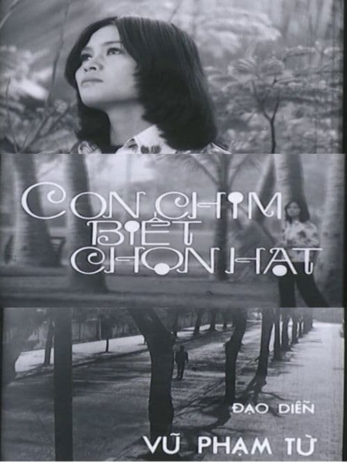 Con Chim Biết Chọn Hạtのポスター